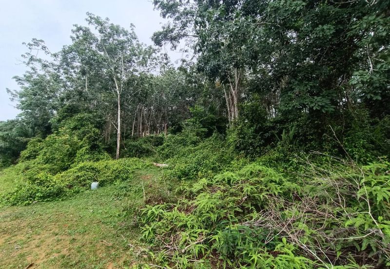 Rubber Land Machap Melaka for Sale