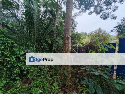 Rubber Land Machap Melaka for Sale, Melaka, Durian Tunggal