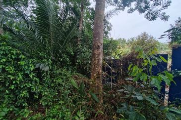 Rubber Land Machap Melaka for Sale