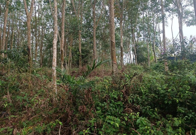 Rubber Land Machap Melaka for Sale