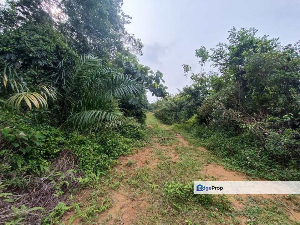 Rubber Land Machap Melaka for Sale, Melaka, Durian Tunggal