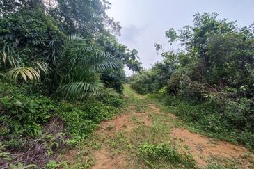 Rubber Land Machap Melaka for Sale