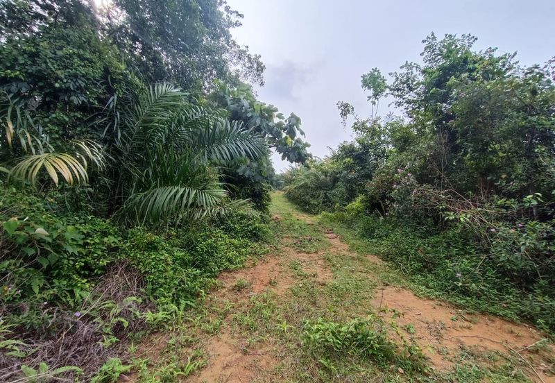 Rubber Land Machap Melaka for Sale