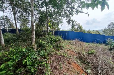 Rubber Land Machap Melaka for Sale
