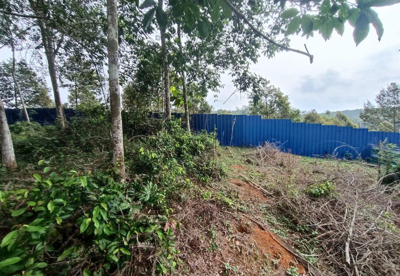 Rubber Land Machap Melaka for Sale