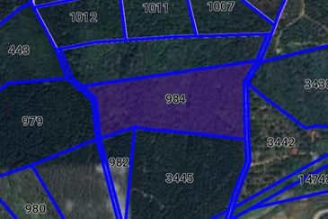 Freehold Rubber Farm Sungai Udang Melaka for Sale