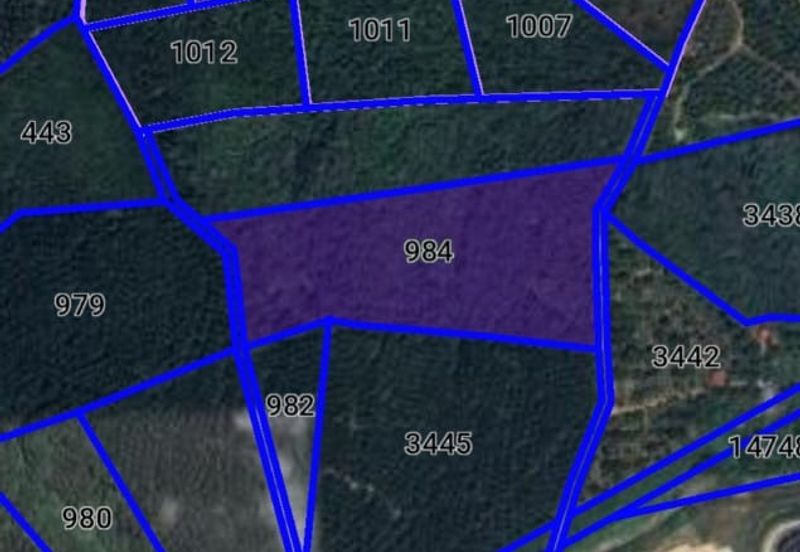 Freehold Rubber Farm Sungai Udang Melaka for Sale