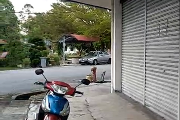 TAMAN MERLIMAU INDAH