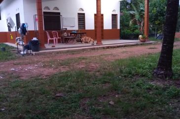 Freehold Bungalow Swiftlet House & Land Kg Panchor for Sale