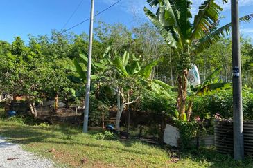 Freehold Bungalow Swiftlet House & Land Kg Panchor for Sale