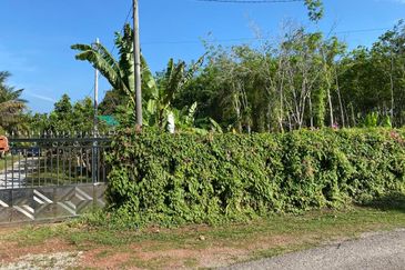 Freehold Bungalow Swiftlet House & Land Kg Panchor for Sale