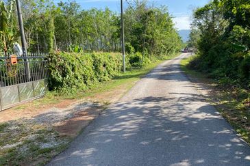 Freehold Bungalow Swiftlet House & Land Kg Panchor for Sale