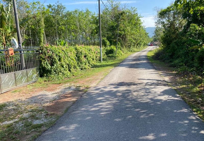 Freehold Bungalow Swiftlet House & Land Kg Panchor for Sale