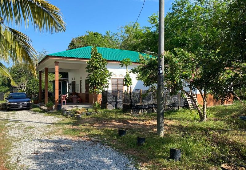 Freehold Bungalow Swiftlet House & Land Kg Panchor for Sale