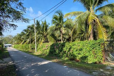 Freehold Bungalow Swiftlet House & Land Kg Panchor for Sale