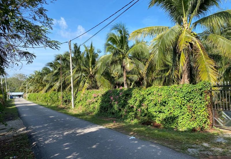 Freehold Bungalow Swiftlet House & Land Kg Panchor for Sale