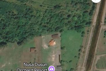 Agriculture Land Kuala Linggi Alor Gajah Melaka for Sale