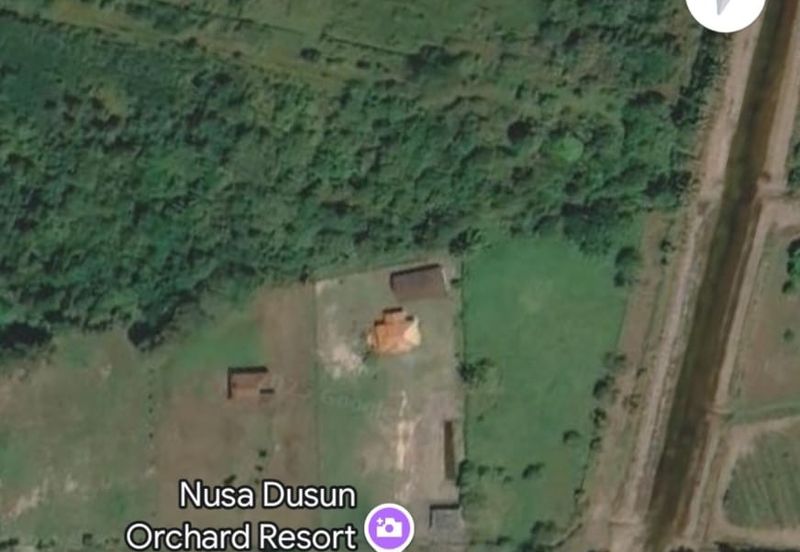 Agriculture Land Kuala Linggi Alor Gajah Melaka for Sale