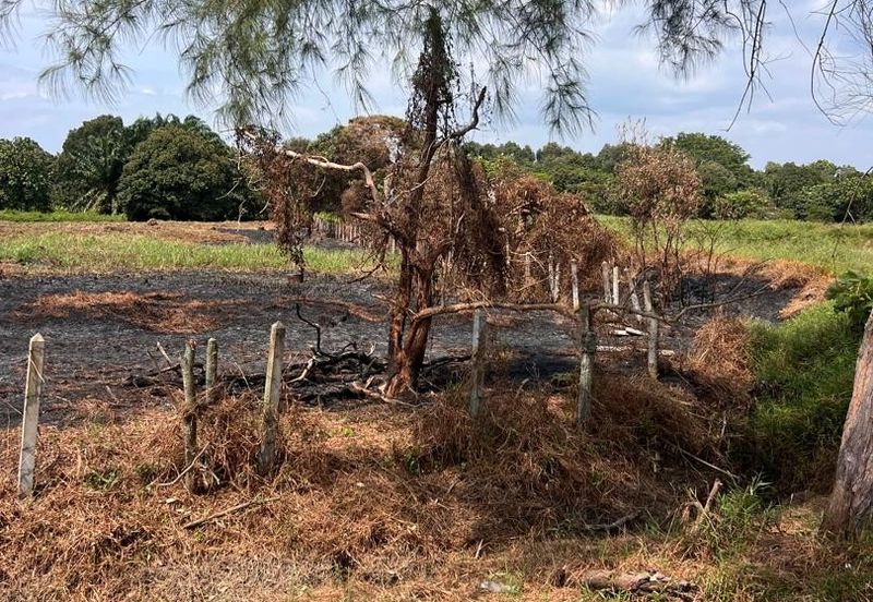 Agriculture Land Kuala Linggi Alor Gajah Melaka for Sale