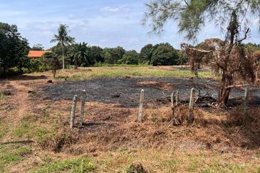 Agriculture Land Kuala Linggi Alor Gajah Melaka for Sale