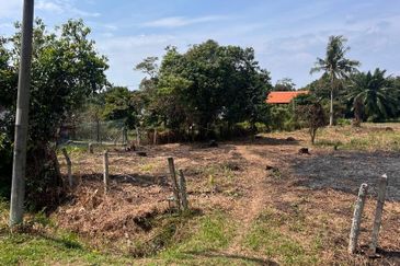 Agriculture Land Kuala Linggi Alor Gajah Melaka for Sale