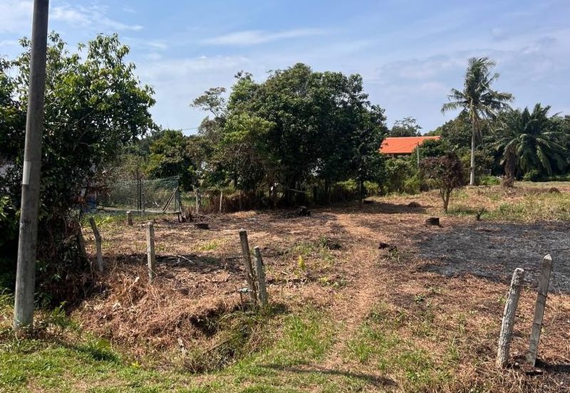 Agriculture Land Kuala Linggi Alor Gajah Melaka for Sale