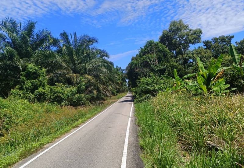 First Layer Agriculture Land with Access Road in Front.
