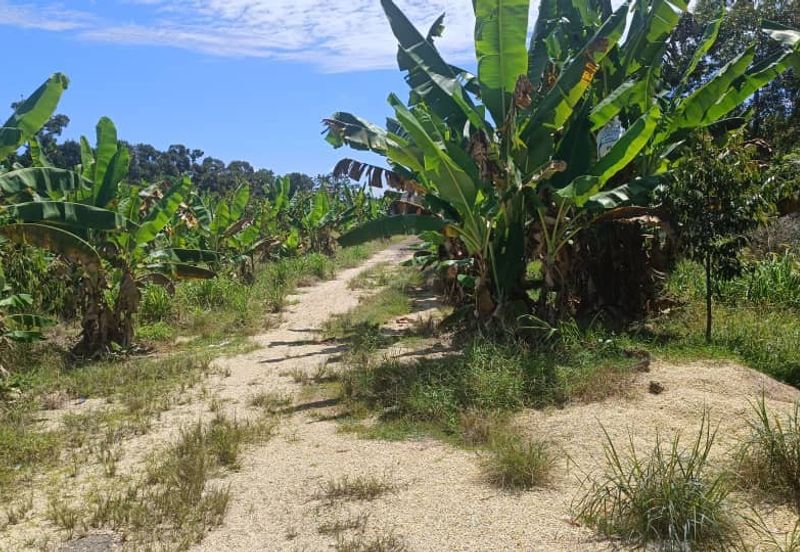 First Layer Agriculture Land with Access Road in Front.