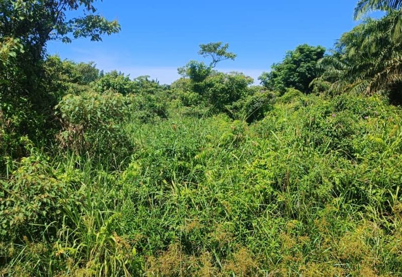 First Layer Agriculture Land with Access Road in Front.