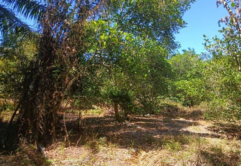 First Layer Agriculture Land with Access Road in Front.