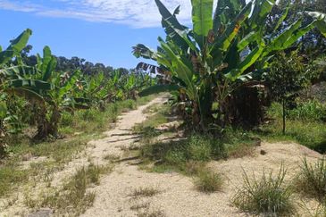 Agriculture Land at Mukim Serom Muar Johor for Sale