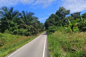Agriculture Land at Mukim Serom Muar Johor for Sale