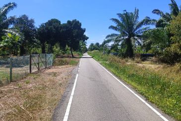 Agriculture Land at Mukim Serom Muar Johor for Sale