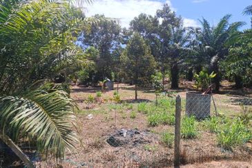 Agriculture Land at Mukim Serom Muar Johor for Sale