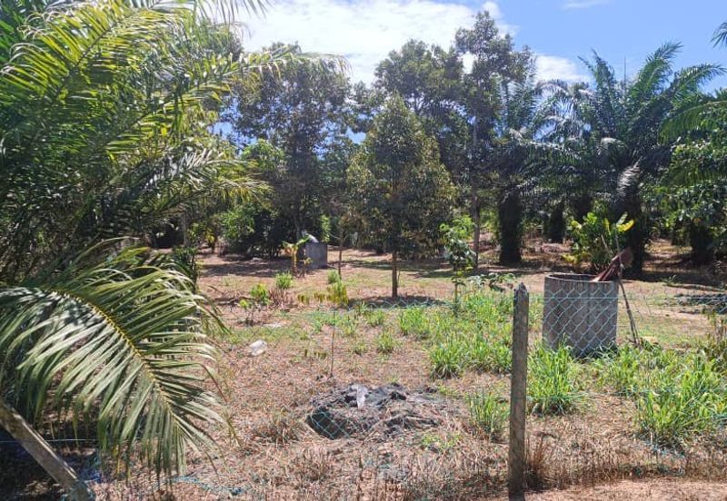 Agriculture Land at Mukim Serom Muar Johor for Sale