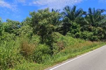 Agriculture Land at Mukim Serom Muar Johor for Sale