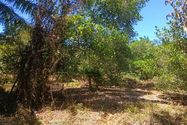 Agriculture Land at Mukim Serom Muar Johor for Sale