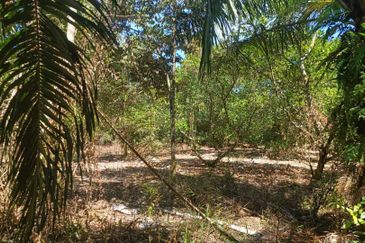 Agriculture Land at Mukim Serom Muar Johor for Sale