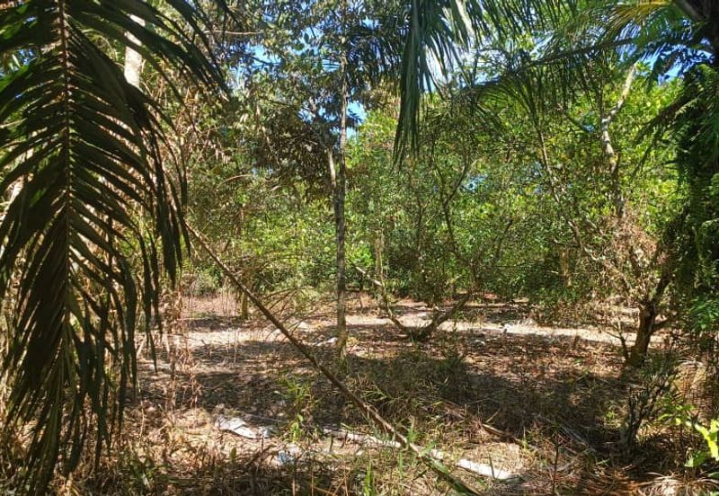 Agriculture Land at Mukim Serom Muar Johor for Sale