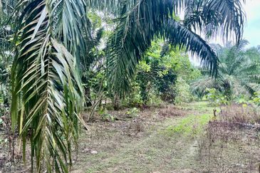 Agriculture Land @ Taiping