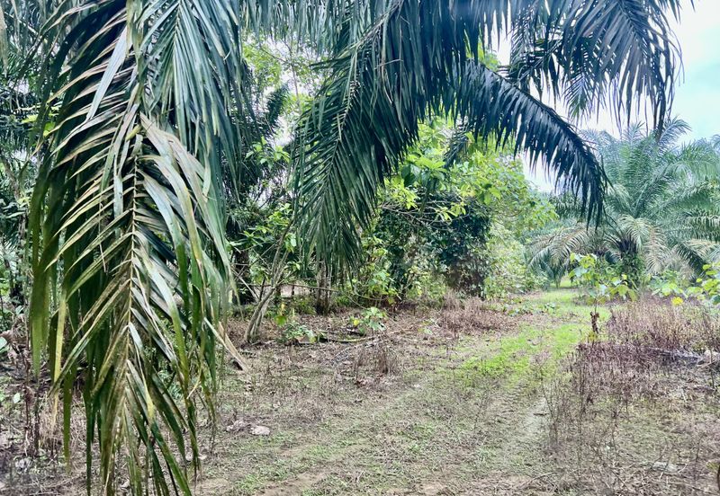 Agriculture Land @ Taiping