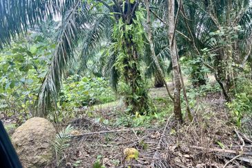 Agriculture Land @ Taiping