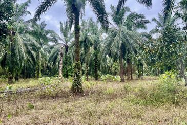 Agriculture Land @ Taiping