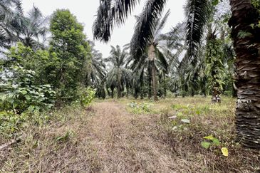 Agriculture Land @ Taiping