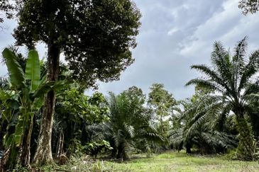 Agriculture Land @ Taiping