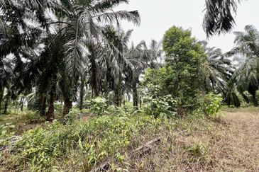 Agriculture Land @ Taiping