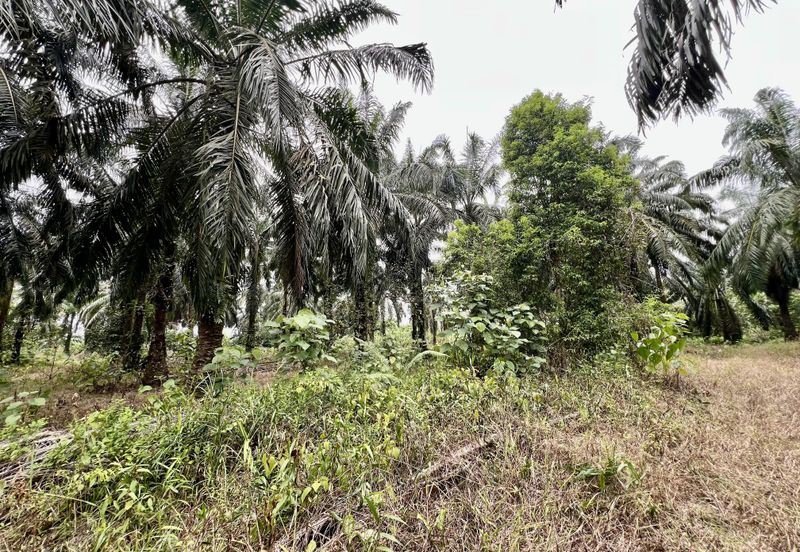 Agriculture Land @ Taiping