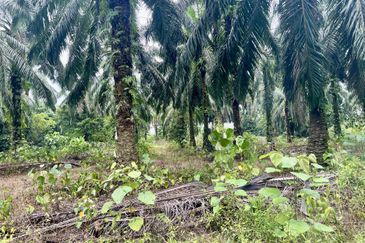 Agriculture Land @ Taiping
