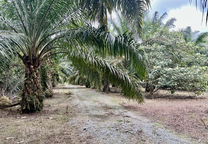 Agriculture Land @ Taiping