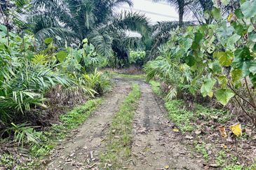 Agriculture Land @ Taiping